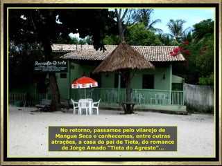 No retorno, passamos pelo vilarejo de Mangue Seco e conhecemos, entre outras atrações, a casa do pai de Tieta, do romance de Jorge Amado “Tieta do Agreste”... 