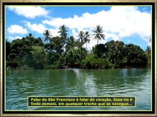 Falar do São Francisco é falar do coração. Esse rio é lindo demais, em qualquer trecho que se navegue... 
