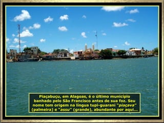 Piaçabuçu, em Alagoas, é o último município banhado pelo São Francisco antes de sua foz. Seu nome tem origem na língua tupi-guarani “ piaçava ” (palmeira) e “ assu ” (grande), abundante por aqui... 