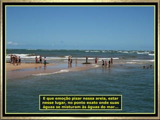 E que emoção pisar nessa areia, estar nesse lugar, no ponto exato onde suas águas se misturam às águas do mar... 