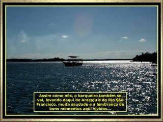 Assim como nós, o barqueiro também se vai, levando daqui de Aracaju e do Rio São Francisco, muita saudade e a lembrança de bons momentos aqui vividos... 