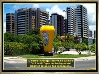 O nome “Aracaju” deriva da palavra “ ará acaiú ” que em tupi-guarani significa cajueiro dos papagaios... 