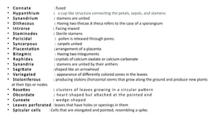 • Connate :fused
• Hypanthium : a cup-like structure connecting the petals, sepals, and stamens
• Synandrium : stamens are united
• Dithecous : Having two thecae.A theca refers to the case of a sporangium
• Introrse : Facing inward
• Staminodes : Sterile stamens
• Poricidal : pollen is released through pores.
• Syncarpous : carpels united
• Placentation :arrangement of a placenta
• Bitegmic : Having two integuments
• Raphides :crystals of calcium oxalate or calcium carbonate
• Synandria : stamens are united by their anthers
• Sagittate :shaped like an arrowhead
• Variegated : appearance of differently colored zones in the leaves
• Stoloniferous : producing stolons (horizontal stems that grow along the ground and produce new plants
at their tips or nodes
• Rosettes : clusters of leaves growing in a circular pattern
• Obcordate : heart-shaped but attached at the pointed end
• Cuneate : wedge-shaped
• Leaves perforated :leaves that have holes or openings in them
• Spicular cells :Cells that are elongated and pointed, resembling a spike.
 
