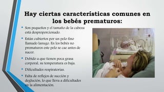 Hay ciertas características comunes en
los bebés prematuros:
• Son pequeños y el tamaño de la cabeza
está desproporcionado.
• Están cubiertos por un pelo fino
llamado lanugo. En los bebés no
prematuros este pelo se cae antes de
nacer.
• Debido a que tienen poca grasa
corporal, su temperatura es baja.
• Dificultades respiratorias.
• Falta de reflejos de succión y
deglución, lo que lleva a dificultades
en la alimentación.
 