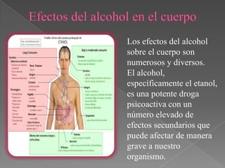 Los efectos del alcohol
sobre el cuerpo son
numerosos y diversos.
El alcohol,
específicamente el etanol,
es una potente droga
psicoactiva con un
número elevado de
efectos secundarios que
puede afectar de manera
grave a nuestro
organismo.
 