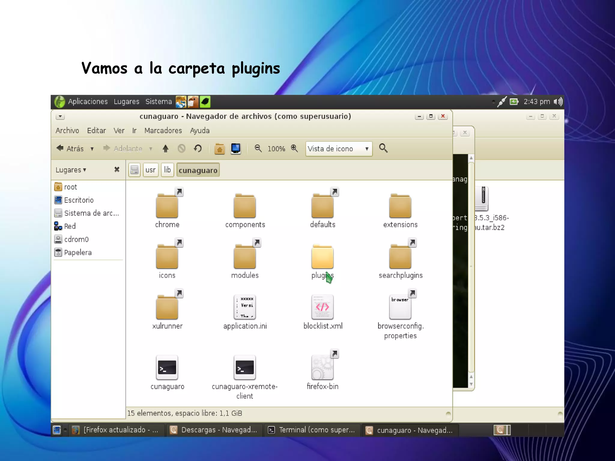 Vamos a la carpeta plugins
 
