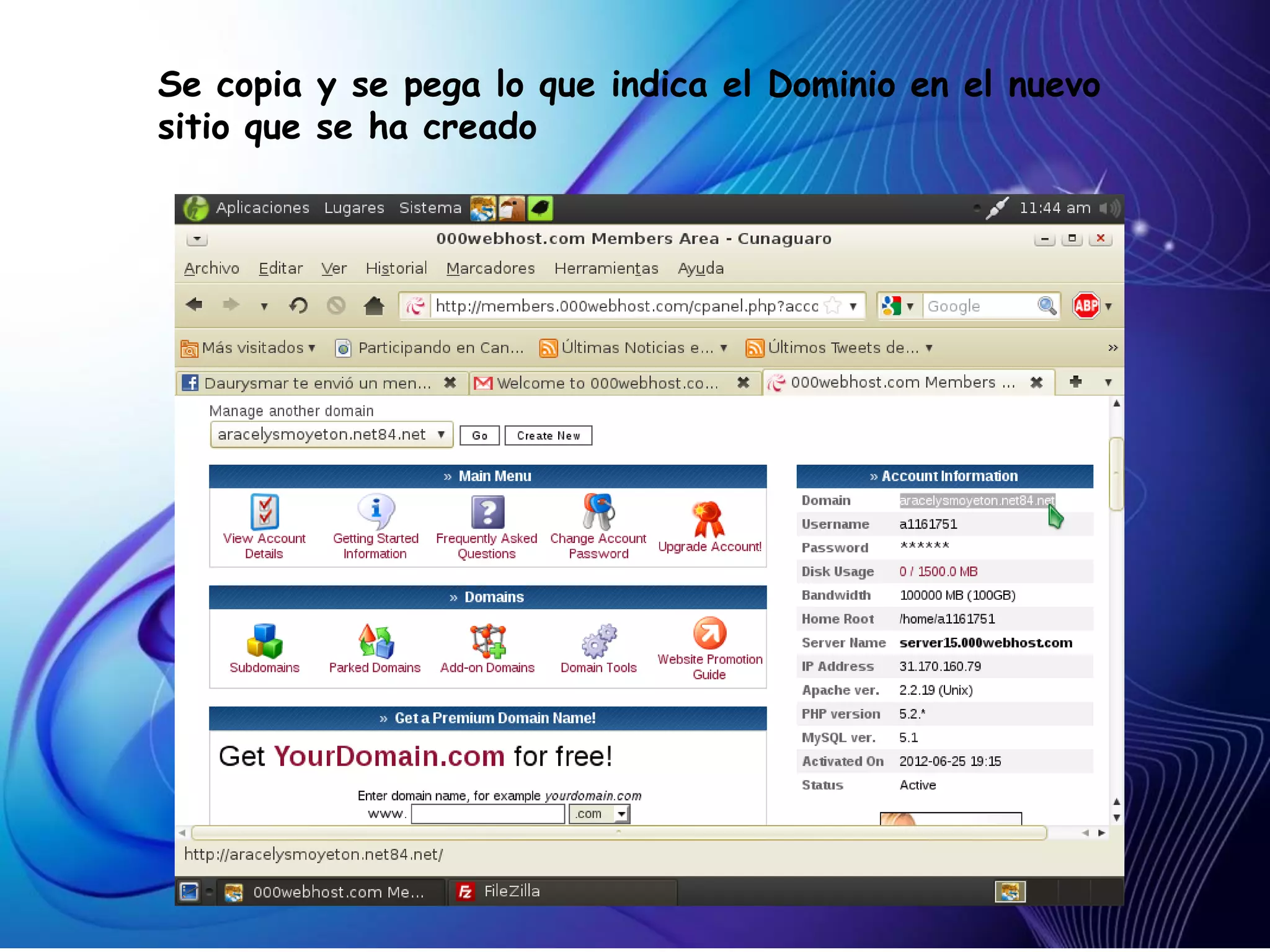 Se copia y se pega lo que indica el Dominio en el nuevo
sitio que se ha creado
 