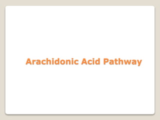 Arachidonic Acid Pathway
 