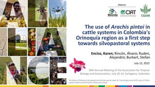 The use of Arachis pintoi in
cattle systems in Colombia's
Orinoquía region as a first step
towards silvopastoral systems
Enciso, Karen; Rincón, Álvaro; Ruden,
Alejandro; Burkart, Stefan
July 12, 2022
58th Annual Meeting of the Association for Tropical
Biology and Conservation, July 10-14, Cartagena, Colombia
 