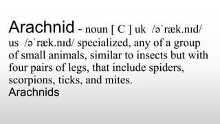 Arachnid - noun [ C ] uk ​ /əˈræk.nɪd/
us ​ /əˈræk.nɪd/ specialized, any of a group
of small animals, similar to insects but with
four pairs of legs, that include spiders,
scorpions, ticks, and mites.
Arachnids
 