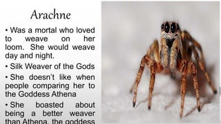 Arachne
• Was a mortal who loved
to weave on her
loom. She would weave
day and night.
• Silk Weaver of the Gods
• She doesn’t like when
people comparing her to
the Goddess Athena
• She boasted about
being a better weaver
 