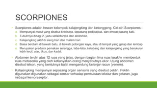 SCORPIONES 
• Scorpiones adalah hewan kelompok kalajengking dan ketonggeng. Ciri-ciri Scorpiones : 
a. Mempunyai mulut yang disebut khelisera, sepasang pedipalpus, dan empat pasang kaki. 
b. Tubuhnya dibagi 2, yaitu sefalotoraks dan abdomen. 
c. Kalajengking aktif di siang hari dan malam hari 
d. Biasa berdiam di bawah batu, di bawah potongan kayu, atau di tempat yang gelap dan lembap 
e. Merupakan predator pemakan serangga, laba-laba, kelabang dan kalajengking yang berukuran 
lebih kecil, ular, tikus, dan kadal. 
• Abdomen terdiri atas 12 ruas yang jelas, dengan bagian lima ruas terakhir membentuk 
ruas metasoma yang oleh kebanyakan orang menyebutnya ekor. Ujung abdomen 
disebut telson, yang bentuknya bulat mengandung kelenjar racun (venom). 
• Kalajengking mempunyai sepasang organ sensoris yang disebut pektin. Pektin 
digunakan digunakan sebagai sensor terhadap permukaan tekstur dan getaran, juga 
sebagai kemoreseptor. 
 