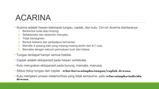 ACARINA 
• Acarina adalah hewan kelompok tungau, caplak, dan kutu. Ciri-ciri Acarina diantaranya : 
1. Berbentuk bulat atau lonjong. 
2. Sefalotoraks dan abdomen menyatu. 
3. Tidak bersegmen. 
4. Bentuk kelisera dan pedipalpus bervariasi. 
5. Memiliki 4 pasang kaki yang masing-masing terdiri dari 6-7 ruas. 
6. Bernafas dengan seluruh permukaan tuuh dan trakea. 
• Tungau terdapat hampir semua habitat. 
• Caplak adalah ektoparasit pada hewan vertebrata. 
• Kutu merupakan ektoparasit pada burung, mamalia, manusia. 
• Siklus hidup tungau dan caplak : telur-larva-nimpha-tungau/caplak dewasa. 
• Kutu menjalani proses metamorfosa yang tidak sempurna, yaitu telur-nimpha-individu 
dewasa. 
 