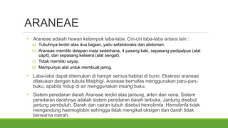 ARANEAE 
• Araneae adalah hewan kelompok laba-laba. Ciri-ciri laba-laba antara lain : 
a) Tubuhnya terdiri atas dua bagian, yaitu sefalotoraks dan abdomen. 
b) Araneae memiliki delapan mata sederhana, 4 pasang kaki, sepasang pedipalpus (alat 
capit), dan sepasang kelisera (alat sengat). 
c) Tidak memiliki sayap. 
d) Mempunyai alat untuk membuat jaring. 
• Laba-laba dapat ditemukan di hampir semua habitat di bumi. Ekskresi araneae 
dilakukan dengan tubula Malphigi. Araneae bernafas menggunakan paru-paru 
buku, apabila hidup di air menggunakan insang buku. 
• Sistem peredaran darah Araneae terdiri atas jantung, arteri dan vena. Sistem 
peredaran darahnya adalah sistem peredaran darah terbuka. Jantung disebut 
jantung pembuluh. Darah dan cairan tubuh disebut hemolimfa. Hemolimfa tidak 
mengandung haemoglobin sehingga tidak mengikat oksigen dan darah tidak 
berwarna merah. 
 