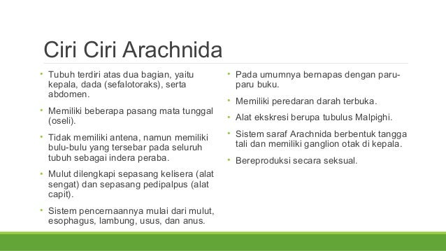 Arachnida