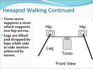 Hexapod Walking Continued Torso servo supports a strut which supports two hip servos. Legs are lifted and dropped by hips while side to side motion achieved by torsos.  
