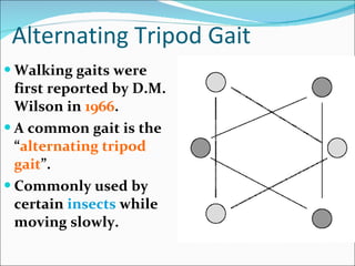 Alternating Tripod Gait Walking gaits were first reported by D.M. Wilson in  1966 . A common gait is the “ alternating tripod gait ”. Commonly used by certain  insects  while moving slowly. 