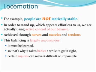 Locomotion For example,  people are  not  statically stable .  In order to stand up, which appears effortless to us, we are actually using  active control of our balance. Achieved through  nerves  and  muscles  and  tendons .  This balancing is  largely unconscious :  it must be  learned ,  so that's why it takes  babies  a while to get it right, certain  injuries  can make it difficult or impossible.  