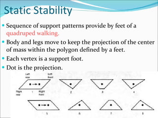 Static Stability Sequence of support patterns provide by feet of a  quadruped walking. Body and legs move to keep the projection of the center of mass within the polygon defined by a feet. Each vertex is a support foot. Dot is the projection. 
