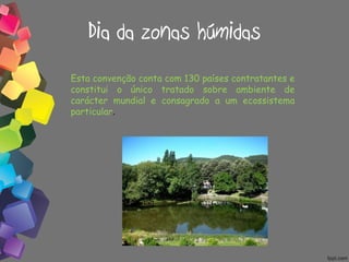 Dia da zonas húmidas Esta convenção conta com 130 países contratantes e constitui o único tratado sobre ambiente de carácter mundial e consagrado a um ecossistema particular .  