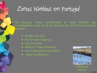 Zonas húmidas em Portugal Em Portugal, foram reconhecidas 12 zonas húmidas, que correspondem a mais de 66 mil hectares de território nacional por exemplo: Estuário do Tejo; Ria Formosa (Algarve); Paul de Arzila; Madriz e Taipal (Coimbra); Paul do Boquilobo (Santarém); Lagoa de Albufeira; A Reserva  Natural 