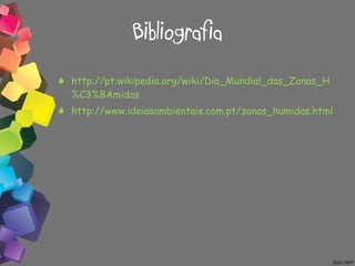 Bibliografia http://pt.wikipedia.org/wiki/Dia_Mundial_das_Zonas_H%C3%BAmidas http://www.ideiasambientais.com.pt/zonas_humidas.html 