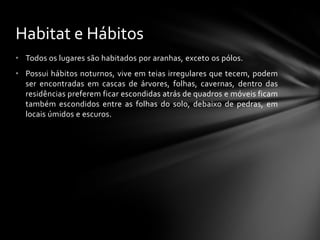 Habitat e Hábitos
• Todos os lugares são habitados por aranhas, exceto os pólos.
• Possui hábitos noturnos, vive em teias irregulares que tecem, podem
  ser encontradas em cascas de árvores, folhas, cavernas, dentro das
  residências preferem ficar escondidas atrás de quadros e móveis ficam
  também escondidos entre as folhas do solo, debaixo de pedras, em
  locais úmidos e escuros.
 