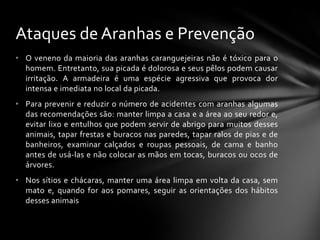 Ataques de Aranhas e Prevenção
• O veneno da maioria das aranhas caranguejeiras não é tóxico para o
  homem. Entretanto, sua picada é dolorosa e seus pêlos podem causar
  irritação. A armadeira é uma espécie agressiva que provoca dor
  intensa e imediata no local da picada.
• Para prevenir e reduzir o número de acidentes com aranhas algumas
  das recomendações são: manter limpa a casa e a área ao seu redor e,
  evitar lixo e entulhos que podem servir de abrigo para muitos desses
  animais, tapar frestas e buracos nas paredes, tapar ralos de pias e de
  banheiros, examinar calçados e roupas pessoais, de cama e banho
  antes de usá-las e não colocar as mãos em tocas, buracos ou ocos de
  árvores.
• Nos sítios e chácaras, manter uma área limpa em volta da casa, sem
  mato e, quando for aos pomares, seguir as orientações dos hábitos
  desses animais
 
