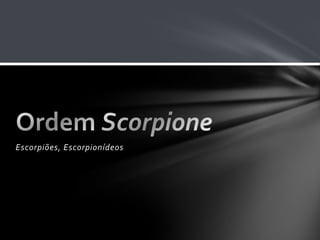 Escorpiões, Escorpionídeos
 