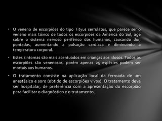 • O veneno de escorpiões do tipo Tityus serrulatus, que parece ser o
  veneno mais tóxico de todos os escorpiões da América do Sul, age
  sobre o sistema nervoso periférico dos humanos, causando dor,
  pontadas, aumentando a pulsação cardíaca e diminuindo a
  temperatura corporal.
• Estes sintomas são mais acentuados em crianças aos idosos. Todos os
  escorpiões são venenosos, porém apenas 25 espécies podem ser
  mortais aos humanos.
• O tratamento consiste na aplicação local da ferroada de um
  anestésico e soro (obtido de escorpiões vivos). O tratamento deve
  ser hospitalar, de preferência com a apresentação do escorpião
  para facilitar o diagnóstico e o tratamento.
 