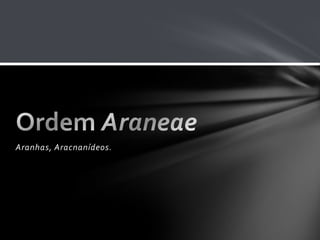 Aranhas, Aracnanídeos.
 