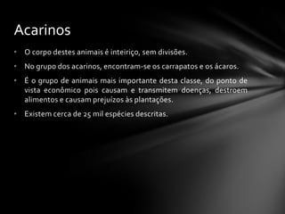 Acarinos
• O corpo destes animais é inteiriço, sem divisões.
• No grupo dos acarinos, encontram-se os carrapatos e os ácaros.
• É o grupo de animais mais importante desta classe, do ponto de
  vista econômico pois causam e transmitem doenças, destroem
  alimentos e causam prejuízos às plantações.
• Existem cerca de 25 mil espécies descritas.
 