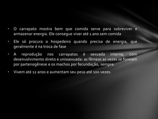 •   O carrapato mostra bem que comida serve para sobreviver e
    armazenar energia. Ele consegue viver até 1 ano sem comida
•   Ele só procura o hospedeiro quando precisa de energia, que
    geralmente é na troca de fase
•   A reprodução nos carrapatos é sexuada interna, com
    desenvolvimento direto e unissexuada: as fêmeas as vezes se formam
    por partenogênese e os machos por fecundação, sempre.
•   Vivem até 12 anos e aumentam seu peso até 100 vezes.
 