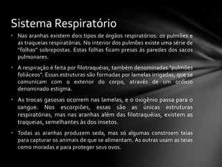 Sistema Respiratório
• Nas aranhas existem dois tipos de órgãos respiratórios: os pulmões e
  as traqueias respiratórias. No interior dos pulmões existe uma série de
  “folhas” sobrepostas. Estas folhas ficam presas às paredes dos sacos
  pulmonares.
• A respiração é feita por filotraquéias, também denominadas "pulmões
  foliáceos". Essas estruturas são formadas por lamelas irrigadas, que se
  comunicam com o exterior do corpo, através de um orifício
  denominado estigma.
• As trocas gasosas ocorrem nas lamelas, e o oxigênio passa para o
  sangue. Nos escorpiões, essas são as únicas estruturas
  respiratórias, mas nas aranhas além das filotraquéias, existem as
  traqueias, semelhantes às dos insetos.
• Todas as aranhas produzem seda, mas só algumas constroem teias
  para capturar os animais de que se alimentam. As outras usam as teias
  como moradas e para proteger seus ovos.
 