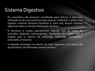 Sistema Digestivo
• Os aracnídeos são possuem mandíbulas para triturar o alimento,
  utilizando-se de suas quelíceras para segurar e dilacerar a presa. Eles
  ingerem somente alimento liquefeito e, para isso, lançam enzimas
  digestivas sobre os tecidos dilacerados da presa.
• O alimento é, então, parcialmente digerido fora do corpo do
  aracnídeo (digestão extracorpórea), formando um "caldo" que é
  sugado para o interior do estômago (estômago bombeador),
  associados a músculos.
• A digestão prossegue no interior do trato digestivo, e os restos não
  aproveitáveis são eliminados através do ânus.
 