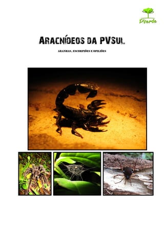 Aracnideos da PVSul 
Aranhas, Escorpiões e opiliões 
 