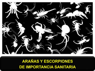 ARAÑAS Y ESCORPIONES
DE IMPORTANCIA SANITARIA
 