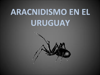 ARACNIDISMO EN EL
    URUGUAY
 