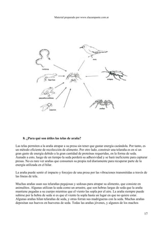 Material preparado por www.elacampante.com.ar
8. ¿Para qué son útiles las telas de araña?
Las telas permiten a la araña atrapar a su presa sin tener que gastar energía cazándola. Por tanto, es
un método eficiente de recolección de alimento. Por otro lado, construir una telaraña es en sí un
gran gasto de energía debido a la gran cantidad de proteínas requeridas, en la forma de seda.
Aunado a esto, luego de un tiempo la seda perderá su adhesividad y se hará ineficiente para capturar
presas. No es raro ver arañas que consumen su propia red diariamente para recuperar parte de la
energía utilizada en el hilar.
La araña puede sentir el impacto y forcejeo de una presa por las vibraciones transmitidas a través de
las líneas de tela.
Muchas arañas usan sus telarañas pegajosas y sedosas para atrapar su alimento, que consiste en
animalitos. Algunas utilizan la seda como un arrastre, que son hebras largas de seda que la araña
mantiene pegadas a su cuerpo mientras que el viento las sopla por el aire. La araña siempre puede
subirse por la hebra de seda si es que el viento la sopla hasta un lugar en que no quiere estar.
Algunas arañas hilan telarañas de seda, y otras forran sus madrigueras con la seda. Muchas arañas
depositan sus huevos en hueveras de seda. Todas las arañas jóvenes, y algunos de los machos
17
 