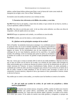 Material preparado por www.elacampante.com.ar
adultos, sueltan largas hebras sedosas para flotar o usar la fuerza del viento como medio de
transporte de un lugar a otro. Esto se llama "ballooning".
En muchos casos las arañas envuelven a sus víctimas en telas.
9. Encontrar dos referencias en la Biblia a las arañas y a sus telas.
Isa 59:5 Ponen huevos de áspides, y tejen telas de arañas; el que comiere de sus huevos, morirá; y
si [se] lo apretaren, saldrá un basilisco.
Isa 59:6 Sus telas no servirán para vestir ni de sus obras serán cubiertos; sus obras son obras de
iniquidad y obra de rapiña está en sus manos.
Job 8:14 Porque su esperanza será cortada, y su confianza es casa de araña.
Pro 30:28 La araña, ase con las manos, y está en palacios de rey.
10. ¿Quiénes son los principales enemigos de las arañas?
Salvo el hombre las tarántulas tienen pocos enemigos. Los vertebrados parecen
no gustar de ellas, tal vez por tu tamaño respetable, sus quelíceros ponzoñosos y
los temibles pelos urticantes, capaces de achicar al más valiente. Debe ser como
tragarse un cactus. Se ha encontradoun caso de una tarántula joven en el
estómago de un ave (una bandurria, pariente de los cuervillos y la espátula
rosada). Sin embargo, existe un enemigo para quien los pelos no son barrera y
el tamaño de la araña es un acicate: las grandes avispas pompílidas del género
Pepsis.
Hay una mosca que se arroja en picada sobre la tela de una araña predadora y deposita una larva
que se hace un festín con los huevos de la araña. Las colonias de estas arañas están formadas de
redes entrecruzadas que se estiran por decenas de metros a través de las plantaciones de café en el
estado mexicano de Veracruz. la mosca Arachnidomyia lindae, distrae a la araña caminando y
zumbando por el hilo de señal, una línea no pegajosa que conecta el saco de huevos al núcleo de la
tela de araña. Cuando la araña abandona el saco de huevos para investigar el motivo de la
conmoción, la mosca aterriza y deposita la larva, que mastica el saco, penetrando al interior, donde
se devora los huevos.
Hay arañas que se comen a otras arañas, y en muchos casos las hembras se comen a los machos.
11. ¿De qué modo nos ayudan las arañas, de qué modo nos perjudican y dañan
nuestras propiedades?
En nuestra casa existen moscas, mosquitos, polillas, saetitas de plata (esos insectos
plateados que comen libros), cascaruditos que taladran los muebles, veloces
cucarachas, etc. Todos ellos nos afectan, dañan, molestan. Las arañas se los comen.
Es lo único que comen. Si las arañas de nuestra casa están gorditas y rozagantes, es porque nos
17
 