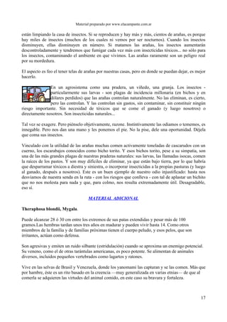 Material preparado por www.elacampante.com.ar
están limpiando la casa de insectos. Si se reproducen y hay más y más, cientos de arañas, es porque
hay miles de insectos (muchos de los cuales ni vemos por ser nocturnos). Cuando los insectos
disminuyen, ellas disminuyen en número. Si matamos las arañas, los insectos aumentarán
descontroladamente y tendremos que fumigar cada vez más con insecticidas tóxicos... no sólo para
los insectos, contaminando el ambiente en que vivimos. Las arañas raramente son un peligro real
por su mordedura.
El aspecto es feo el tener telas de arañas por nuestras casas, pero en donde se puedan dejar, es mejor
hacerlo.
En un agrosistema como una pradera, un viñedo, una granja. Los insectos -
particularmente sus larvas - son plagas de incidencia millonaria (en bichos y en
dólares perdidos) que las arañas controlan naturalmente. No las eliminan, es cierto,
pero las controlan. Y las controlan sin gastos, sin contaminar, sin constituir ningún
riesgo importante. Sin necesidad de tóxicos que se come el ganado (y luego nosotros) o
directamente nosotros. Son insecticidas naturales...
Tal vez se exagere. Pero piénselo objetivamente, razone. Instintivamente las odiamos o tememos, es
innegable. Pero nos dan una mano y les ponemos el pie. No la pise, dele una oportunidad. Déjela
que coma sus insectos.
Vinculado con la utilidad de las arañas muchas comen activamente toneladas de cascarudos con un
cuerno, los escarabajos conocidos como bicho torito. Y esos bichos torito, pese a su simpatía, son
una de las más grandes plagas de nuestras praderas naturales: sus larvas, las llamadas isocas, comen
la raíces de los pastos. Y son muy difíciles de eliminar, ya que están bajo tierra, por lo que habría
que desparramar tóxicos a diestra y siniestra, o incorporar insecticidas a la propias pasturas (y luego
al ganado, después a nosotros). Este es un buen ejemplo de nuestro odio injustificado: hasta nos
desviamos de nuestra senda en la ruta - con los riesgos que conlleva - con tal de aplastar un bichito
que no nos molesta para nada y que, para colmo, nos resulta extremadamente útil. Desagradable,
eso sí.
MATERIAL ADICIONAL
Theraphosa blondii, Mygala.
Puede alcanzar 28 ó 30 cm entre los extremos de sus patas extendidas y pesar más de 100
gramos.Las hembras tardan unos tres años en madurar y pueden vivir hasta 14. Como otros
miembros de la familia y de familias próximas tienen el cuerpo peludo, y esos pelos, que son
irritantes, actúan como defensa.
Son agresivas y emiten un ruido silbante (estridulación) cuando se aproxima un enemigo potencial.
Su veneno, como el de otras tarántulas americanas, es poco potente. Se alimentan de animales
diversos, incluidos pequeños vertebrados como lagartos y ratones.
Vive en las selvas de Brasil y Venezuela, donde los yanomami las capturan y se las comen. Más que
por hambre, éste es un rito basado en la creencia —muy generalizada en varias etnias— de que al
comerla se adquieren las virtudes del animal comido, en este caso su bravura y fortaleza.
17
 