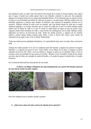 Material preparado por www.elacampante.com.ar
que producen seda. La seda viene del interior del cuerpo de la araña en forma líquida, más espesa
que el agua. Cuando una araña quiere hacer una telaraña, exprime la seda por dos pequeños
agujeros en la parte trasera de su cuerpo denominados hileras. En el momento que se expone al aire,
la seda se seca formando una hebra de seda que se parece a un pelo largo. Muchas arañas usan sus
telarañas pegajosas y sedosas para atrapar su alimento, que consiste en pequeños insectos en su
mayoría. Algunas utilizan la seda como un arrastre, que son hebras largas de seda que la araña
mantiene pegadas a su cuerpo mientras que el viento las sopla por el aire. La araña siempre puede
subirse por la hebra de seda si es que el viento la sopla hasta un lugar en que no quiere estar.
Algunas arañas hilan telarañas de seda, y otras forran sus madrigueras con la seda. Muchas arañas
depositan sus huevos en hueveras de seda. Todas las arañas jóvenes, y algunos de los machos
adultos, sueltan largas hebras sedosas para flotar o usar la fuerza del viento como medio de
transporte de un lugar a otro. Esto se llama "ballooning".
Todas las arañas poseen glándulas hilanderas y la capacidad de tejer, pero no todas ellas construyen
telas.
Aunque las arañas pueden vivir casi en cualquier parte del mundo, a algunas les gustan los lugares
húmedos y a algunas les gusta lo seco. Unas arañas viven debajo de la tierra, y atrapan su presa
saltando encima de ella. Otras viven en árboles y atrapan su presa en su telaraña. Otras viven en
nuestras casas, por ejemplo las que están en el techo. Muchas veces el nombre común de las arañas
nos dice algo de ellas, por ejemplo la araña del jardín, o la araña de agua,o la araña lobo o la araña
bananera.
En el material adicional hay descripción de una araña.
5) Hacer un dibujo cuidadoso (de aproximadamente un cuarto del tamaño natural)
de una tela de araña circular regular.
Son solo imágenes que te pueden ayudar a guiarte.
6. ¿Qué otras clases de telas existen de además de la anterior?
17
 