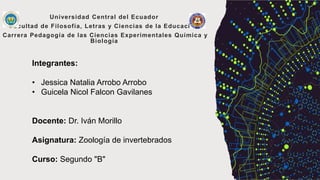 Universidad Central del Ecuador
Facultad de Filosofía, Letras y Ciencias de la Educación
Carrera Pedagogía de las Ciencias Experimentales Química y
Biología
Integrantes:
• Jessica Natalia Arrobo Arrobo
• Guicela Nicol Falcon Gavilanes
Docente: Dr. Iván Morillo
Asignatura: Zoología de invertebrados
Curso: Segundo "B"
 