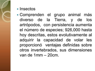  Insectos
 Comprenden el grupo animal más
  diverso de la Tierra, y de los
  artrópodos, con persistencia aumenta
  el número de especies; 926,000 hasta
  hoy descritas, estos evolutivamente al
  adquirir la capacidad de volar les
  proporcionó ventajas definidas sobre
  otros invertebrados, sus dimensiones
  van de 1mm – 20cm.
 
