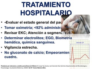 TRATAMIENTO
HOSPITALARIO
• -Evaluar el estado general del paciente.
• Tomar oximetría; <92% administrar oxigeno.
• Revisar EKC; Atención a segmento Q-T.
• Determinar electrolitos; EGO, Biometría
hemática, química sanguínea.
• Vigilancia estrecha.
• No gluconato de calcio; Empeoramiento del
cuadro.
Picaduras por alacranes y arañas ponzoñosas de México Dr.Jorge Tay Zavala, Joel Gerardo Díaz Sánchez Departamento de Microbiología y
Parasitología, Facultad de Medicina, UNAM. Vol 47 Enero-febrero 2011.
 