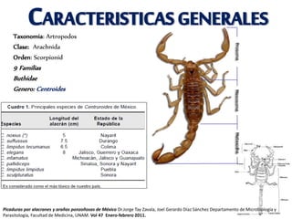CARACTERISTICASGENERALES
Taxonomia: Artropodos
Clase: Arachnida
Orden: Scorpionid
9 Familias
Buthidae
Genero: Centroides
Picaduras por alacranes y arañas ponzoñosas de México Dr.Jorge Tay Zavala, Joel Gerardo Díaz Sánchez Departamento de Microbiología y
Parasitología, Facultad de Medicina, UNAM. Vol 47 Enero-febrero 2011.
 