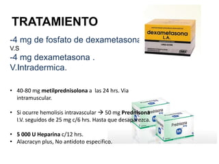 TRATAMIENTO
-4 mg de fosfato de dexametasona.
V.S
-4 mg dexametasona .
V.Intradermica.
• 40-80 mg metilprednisolona a las 24 hrs. Via
intramuscular.
• Si ocurre hemolisis intravascular  50 mg Prednisona
I.V. seguidos de 25 mg c/6 hrs. Hasta que desaparezca.
• 5 000 U Heparina c/12 hrs.
• Alacracyn plus, No antidoto especifico.
 