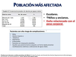 POBLACIÓNMÁSAFECTADA
• Escolares.
• ☨Niños y ancianos.
• Daño relacionado con el
peso corporal.
:Pacientes con alto riesgo de complicaciones:
• Niños
• Adultos mayores o
• Diabeticos
• Hipertensos
• Embarazadas
• Pacientes con intoxicación alcohólica
• Aquellos que posteriormente al piquete y en forma rápida presentan
manifestaciones sistémicas o alteraciones de signos vitales.
Picaduras por alacranes y arañas ponzoñosas de México Dr.Jorge Tay Zavala, Joel Gerardo Díaz Sánchez Departamento de Microbiología y
 