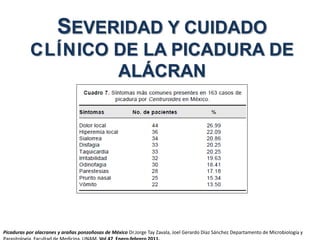 SEVERIDAD Y CUIDADO
CLÍNICO DE LA PICADURA DE
ALÁCRAN
Picaduras por alacranes y arañas ponzoñosas de México Dr.Jorge Tay Zavala, Joel Gerardo Díaz Sánchez Departamento de Microbiología y
 
