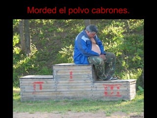 Morded el polvo cabrones. 